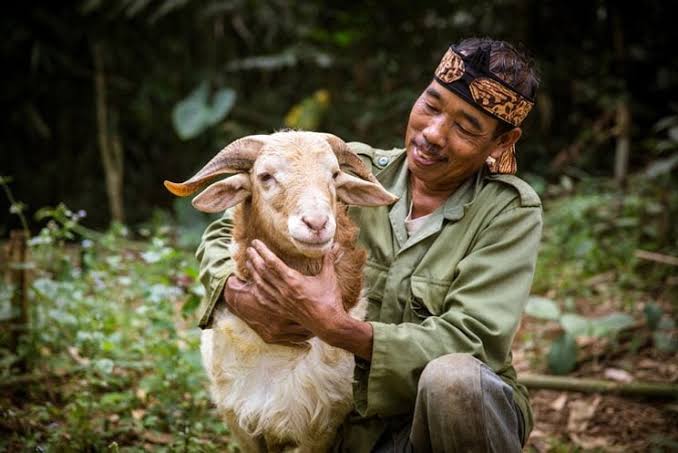 Dahulukan Mana Antara Kurban Untuk Diri Sendiri Dan Orang Tua Yang Sudah Meninggal Harakatuna Com